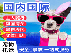 拉萨航空快运国际宠物托运 【国